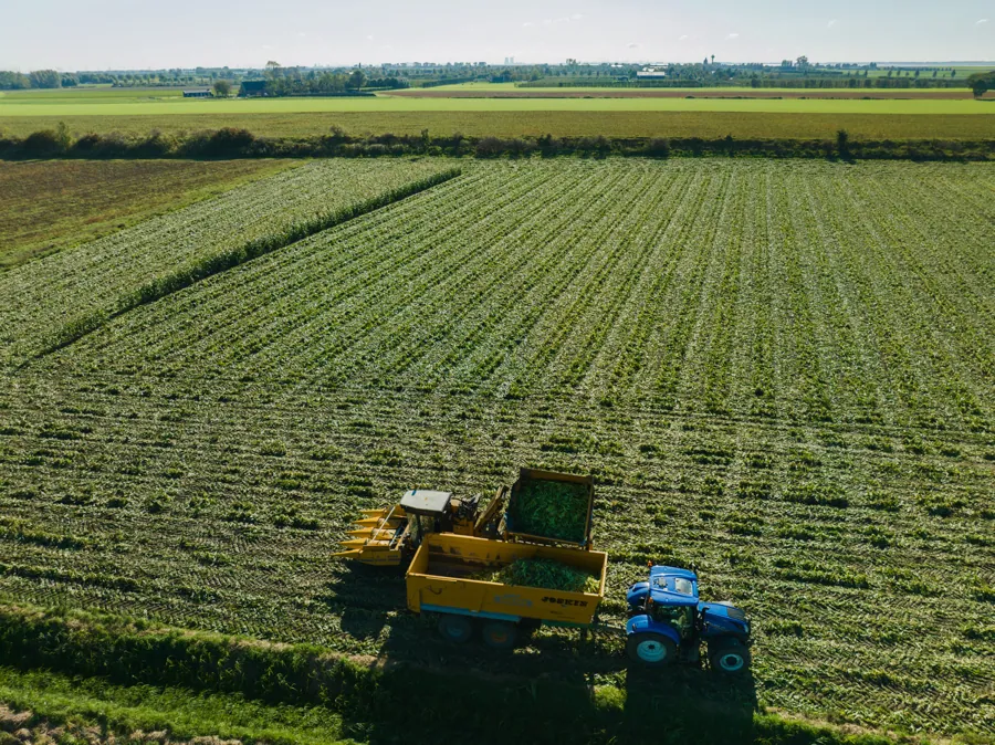 De maïsoogst bij Farm Pack in Zeeland